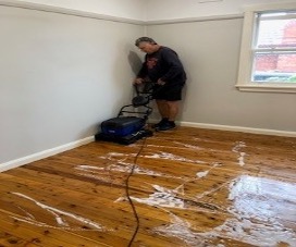 Proper Cleaning and Maintenance Techniques for Timber Floors